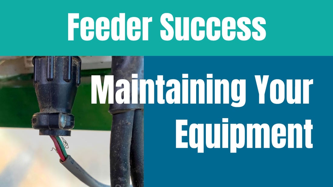 Feeder Success: Maintaining Your Equipment